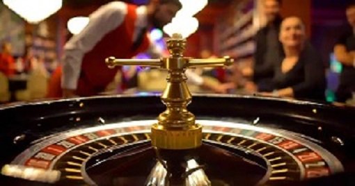 Cricket interest and casino-style entertainment explained on bdt 8777